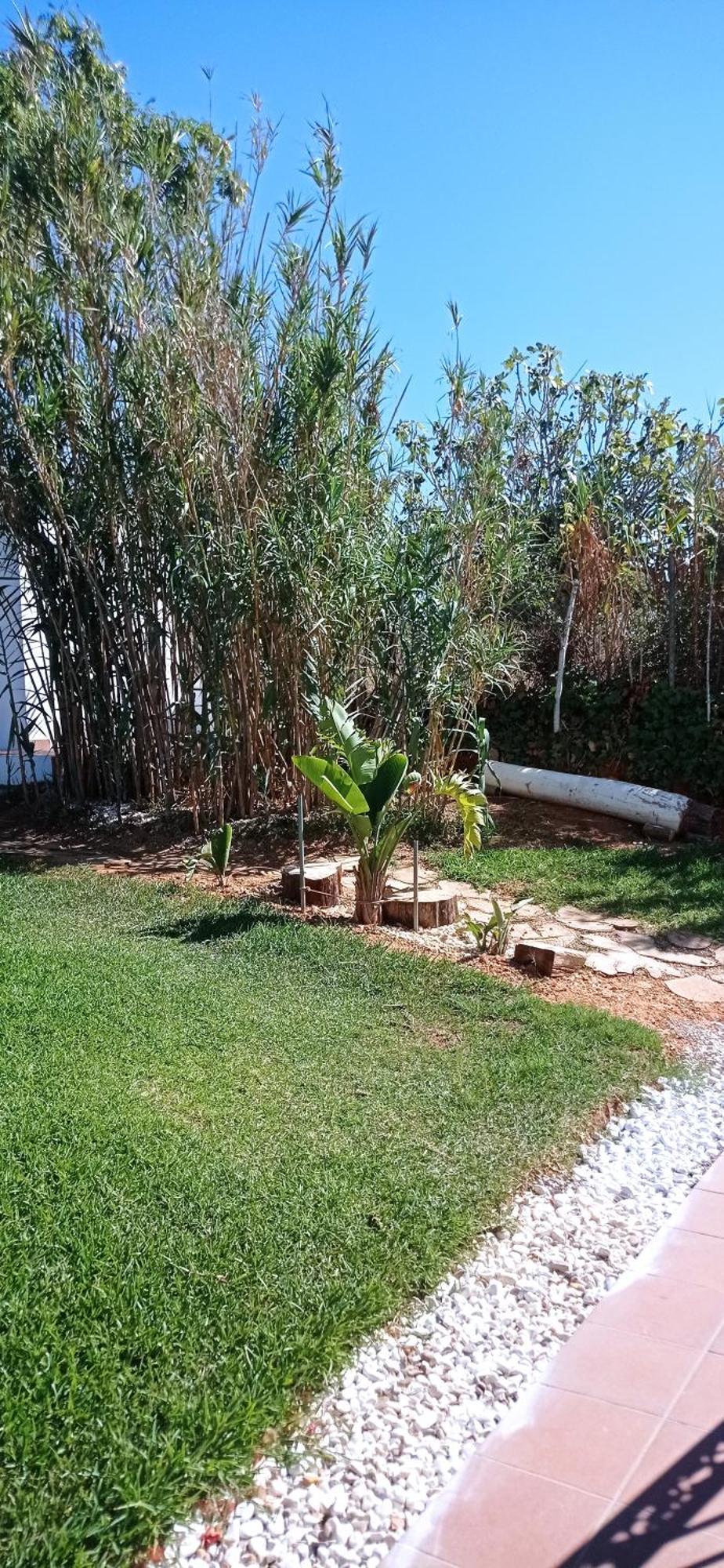 La Luciernaga Casa de hóspedes Chiclana de la Frontera Exterior foto